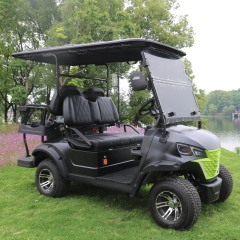 Custom Motorized LithIum Golf Carts Battery 48v Golf Cart 4 Wheel Drive Electric Golf Cart
